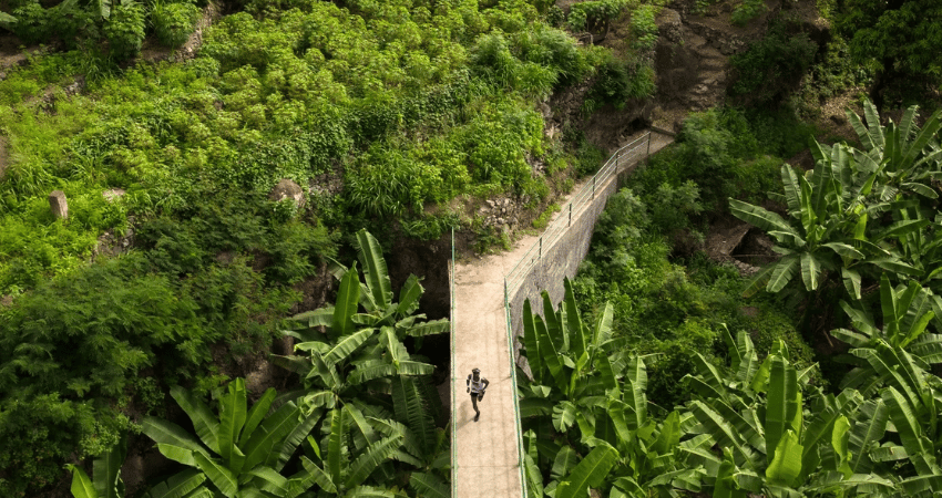 santo antao - tropical vegatation seen from the air